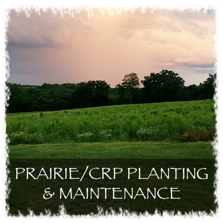 PrairieCPRPlanting